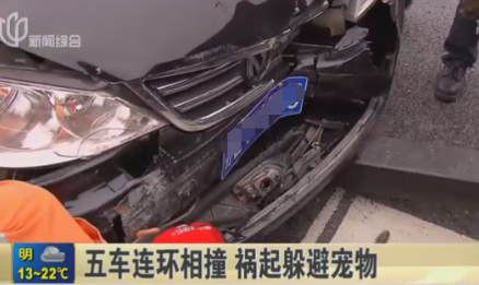 狗狗乱穿马路私家车躲让不及 致5车相撞