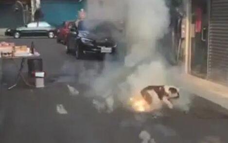 狗狗踩已经点燃的爆竹,狗狗:谁跟我抢跟谁急! 狗狗踩已经点燃的爆竹,狗狗:谁跟我抢跟谁急!
