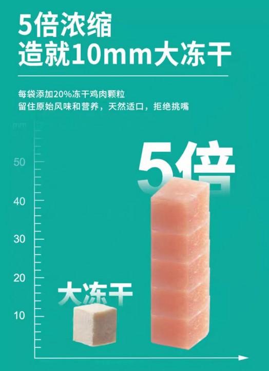 天气炎热猫咪厌食怎么办?试试凯锐思冻干鸡肉无谷双拼猫粮 天气炎热猫咪厌食怎么办?试试凯锐思冻干鸡肉无谷双拼猫粮