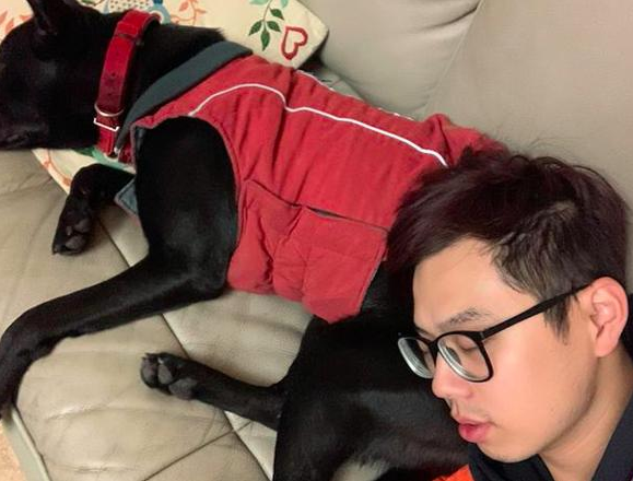 小狗因吃完骨骼零食而送命,原先狗狗吃骨头,会出现这么大的风险性! 小狗因吃完骨骼零食而送命,原先狗狗吃骨头,会出现这么大的风险性!