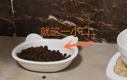 法米娜猫粮好不好?驯服挑食怪我就靠它了 法米娜猫粮好不好?驯服挑食怪我就靠它了