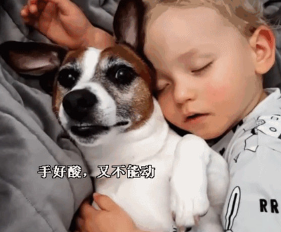 小主人搂着狗狗入睡,狗狗醒来害怕惊动小主人,一动不动好温暖 小主人搂着狗狗入睡,狗狗醒来害怕惊动小主人,一动不动好温暖