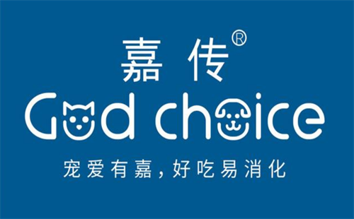 嘉传