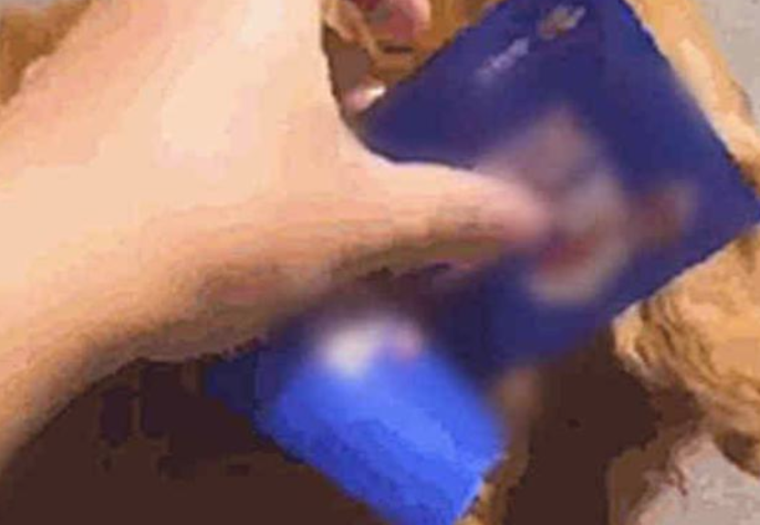 金毛犬的优缺点及性格,回家的身上贴了一个高额欠条,小狗:吃了没出钱!