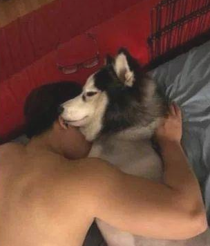 小姐姐夜里想跟男朋友渡过二人世界，哈士奇：想都不必想！