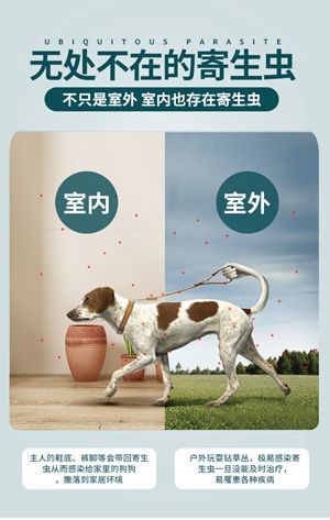 哪款狗狗体外驱虫药效果好?雷米高贝宠安以口碑取胜! 哪款狗狗体外驱虫药效果好?雷米高贝宠安以口碑取胜!
