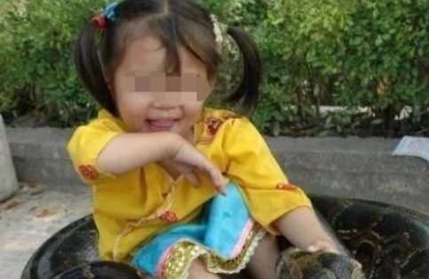 夫妻俩养蟒蛇,蟒蛇却和女儿很亲密,医生看到后不淡定了 夫妻俩养蟒蛇,蟒蛇却和女儿很亲密,医生看到后不淡定了