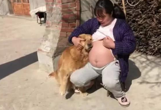 女生将要生产制造，当她应对金毛外露大肚后，金毛的个人行为却令人惊讶