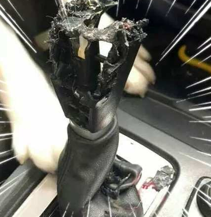 把哈士奇独自放车里，结果回来后，主人哭晕了…… 