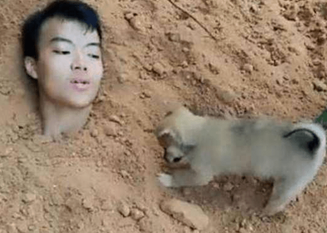 男子装作被好朋友埋人，结论狗狗的作法，让到场人深深感动