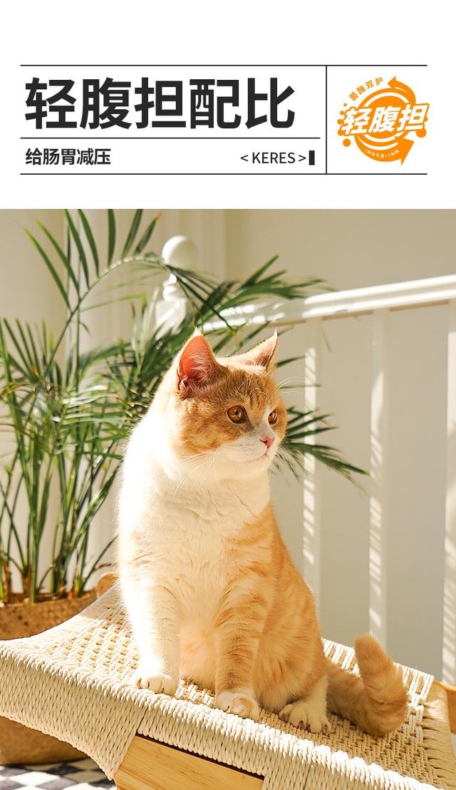 21000円 お買い得モデル 猫袋 21000円 お買い得モデル 猫袋