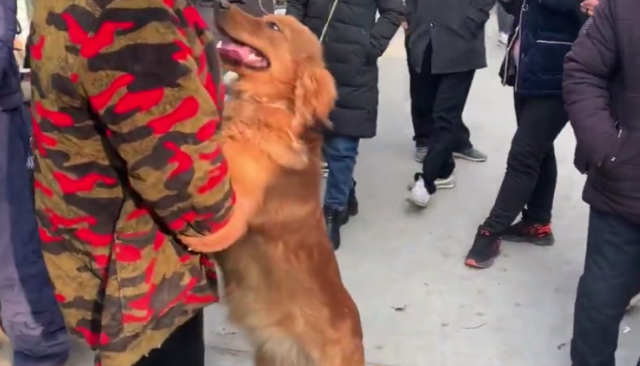 金毛被主人家送到狗市,可狗狗却舍不得主人家,每一次相拥都令人泪崩 金毛被主人家送到狗市,可狗狗却舍不得主人家,每一次相拥都令人泪崩
