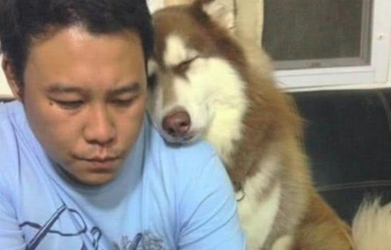 狗狗不满意主人看手机，趴肩膀卖萌，好似个受委屈的媳妇！