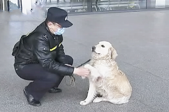 巡查犬发觉一个小孩子在抽泣，公安民警掌握后禁不住赞美：也太厉害了吧