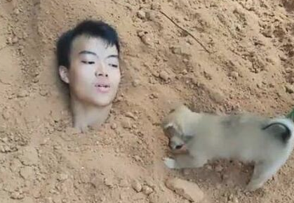 主人为揭穿狗狗的满意度将自身埋人，狗狗的体现令人难受想哭
