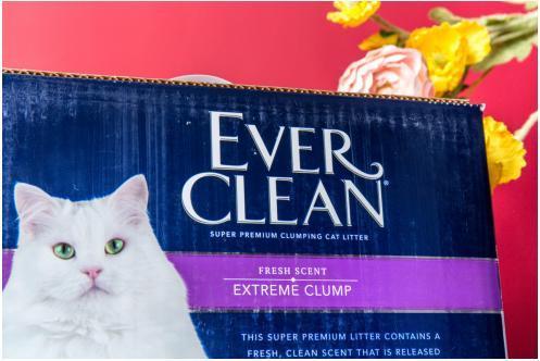 猫砂怎么挑?除臭、抗菌、结团,Ever Clean铂钻:我全都要 猫砂怎么挑?除臭、抗菌、结团,Ever Clean铂钻:我全都要