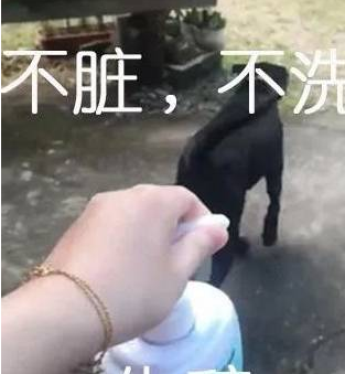 看妈妈取出了沐浴露,狗子微笑秒收:要背井离乡遁入空门一下! 看妈妈取出了沐浴露,狗子微笑秒收:要背井离乡遁入空门一下!