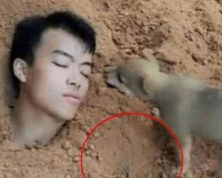 男子装作被好朋友埋人，结论狗狗的作法，让到场人深深感动