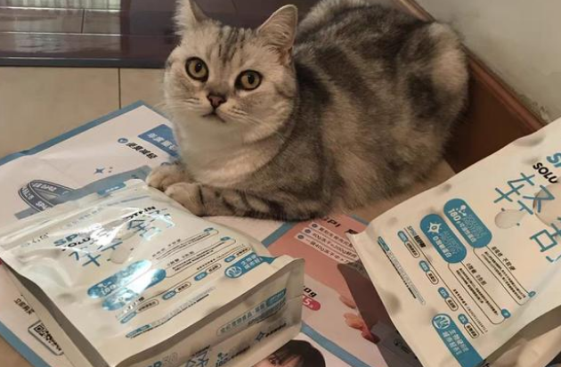 进口猫粮和有鱼猫粮，哪个更适合国内宠物猫
