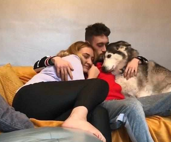 哈士奇也会发脾气，看男主人怀着女主人，用卖萌造成留意