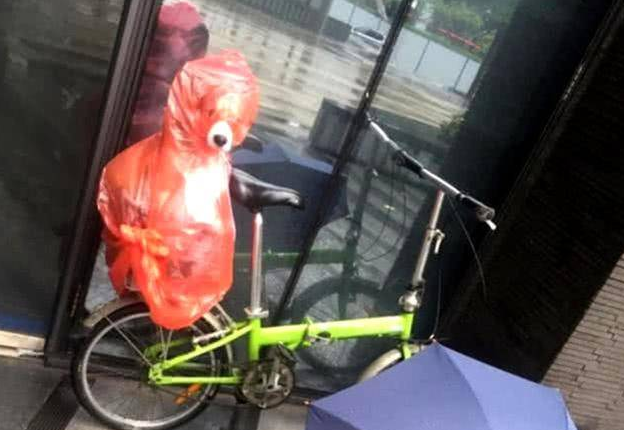 突下暴雨主人不急，给狗狗自做防水防雨武器，結果一下子逗笑过路人