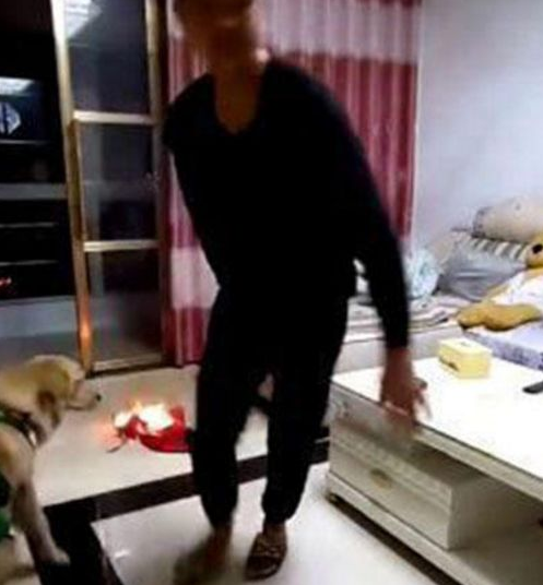 金毛拼了命摇醒睡熟的主人,主人急得想揍它,下一秒却万分感激! 金毛拼了命摇醒睡熟的主人,主人急得想揍它,下一秒却万分感激!