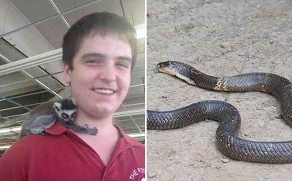 离奇！警方怀疑少年因宠物眼镜蛇自杀 社交网站留言：对不起