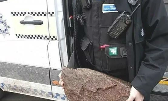 残酷!狗狗竟被别人绑上大石头沉河 残酷!狗狗竟被别人绑上大石头沉河