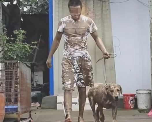 主人把狗狗赶出家门口,回家时的模样令人笑喷 主人把狗狗赶出家门口,回家时的模样令人笑喷