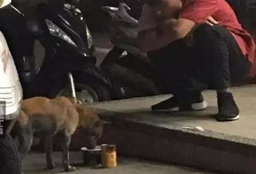 天冷了,细心网友在车引擎附近发现了一只被困的流浪小猫…… 天冷了,细心网友在车引擎附近发现了一只被困的流浪小猫……