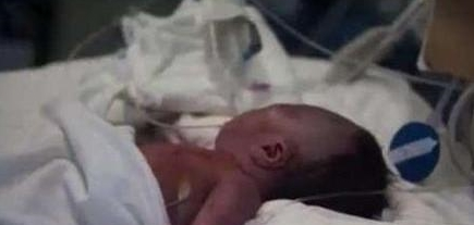 狗狗自身去玩，叼回一个刚刚出生的遗弃婴儿，吓傻了铲屎官！
