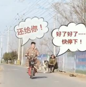 女人包包被恶人抢,二只狗狗帮讨回,結果狗主人悲剧了! 女人包包被恶人抢,二只狗狗帮讨回,結果狗主人悲剧了!
