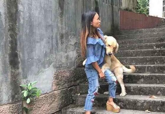 金毛很厉害，假装警犬混入警察局，狗:鸡腿真好吃！