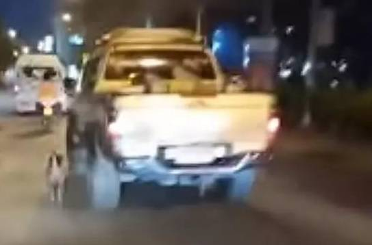 狗狗追着一辆车跑到脚出血，过路人追向前买车人却丢下一句话扬长而去