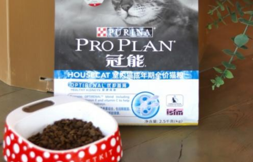 冠能猫粮让所有宠物都能获得更加健康长久地陪伴