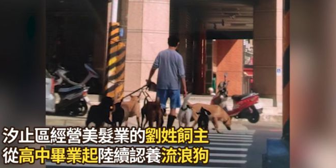 养了33只狗被投诉,可工作人员进屋一看非常惊讶:这也太舒适了吧! 养了33只狗被投诉,可工作人员进屋一看非常惊讶:这也太舒适了吧!