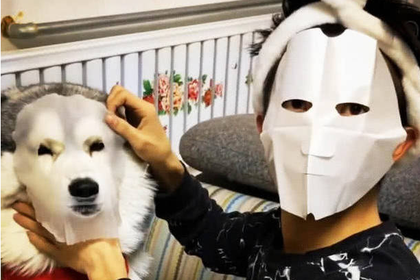 见到男朋友给二哈敷面膜，女人心痛刚想批评，见到下一幕却笑个不断