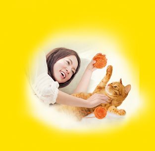 “喜跃”控制毛球配方成猫粮新包装 “喜跃”控制毛球配方成猫粮新包装