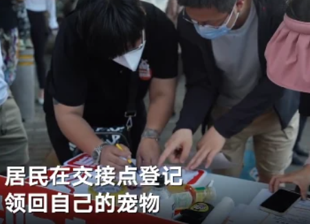 太暖了!隔离结束,240只宠物收获“抗疫小英雄”证书回家了 太暖了!隔离结束,240只宠物收获“抗疫小英雄”证书回家了