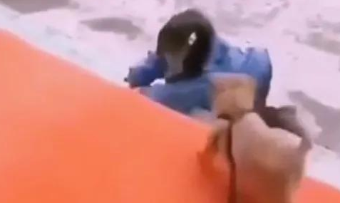 狗狗：摔哪儿了我帮你吹吹？快别哭了，等下铲屎官的回家我说不清楚！