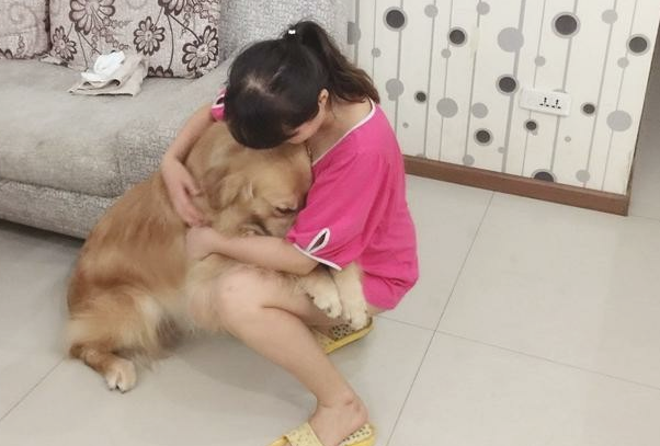 狗狗当主人面大流泪，仅因没办完一件有难度系数的事情！