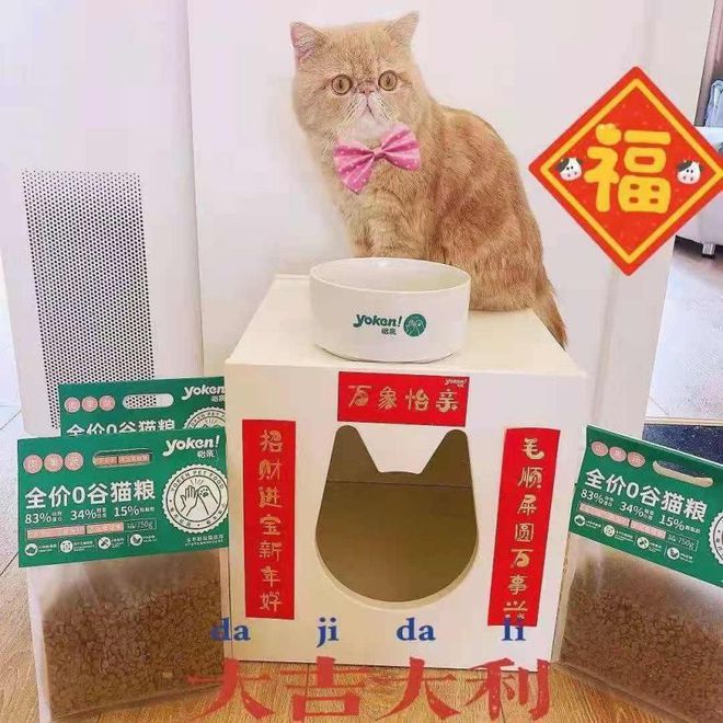 怡亲0谷安心粮亮相深宠展！什么牌子猫粮好？现场拔草收获多多