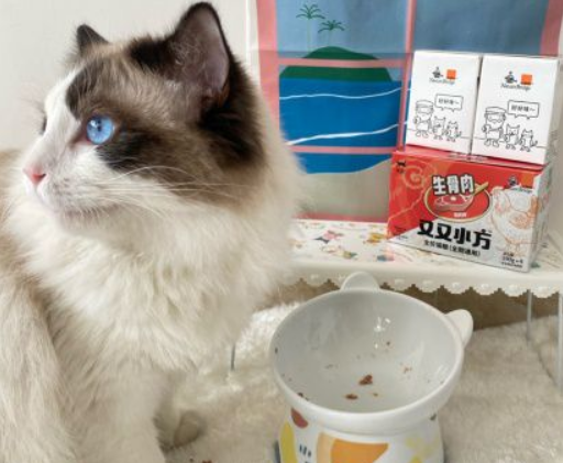 进口宠欺粮骗了多少家长的心,反省之后我选择了国产宠粮比瑞吉 进口宠欺粮骗了多少家长的心,反省之后我选择了国产宠粮比瑞吉
