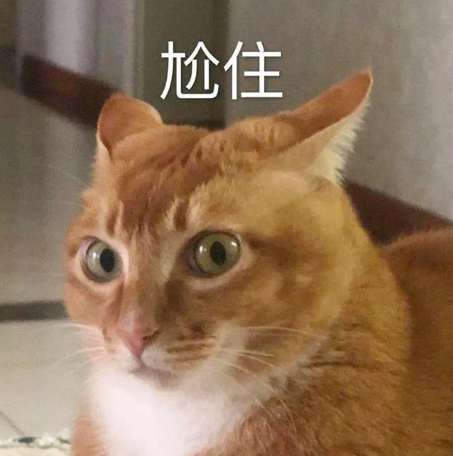 热搜第一,我最爱的表情包敦敦,走了... 热搜第一,我最爱的表情包敦敦,走了...