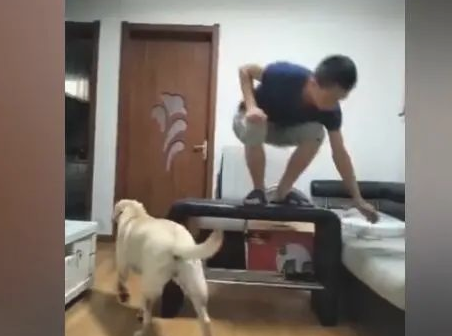 主人修灯,狗狗帮了百忙,网民:今夜加鸡腿! 主人修灯,狗狗帮了百忙,网民:今夜加鸡腿!