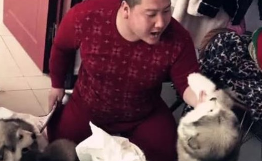 主人亲自给狗狗做示范性，连自身都打，笑坏掉网民