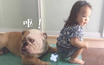 狗狗已经入睡，小主人冲着它放了个屁，一下子被熏懵了