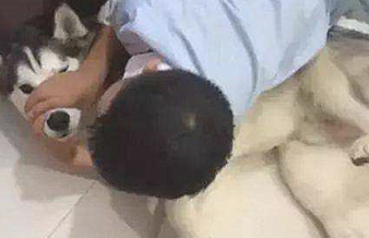 宝宝正和狗狗玩乐，被亲了一下后小表情太逗了：这味道太上头了