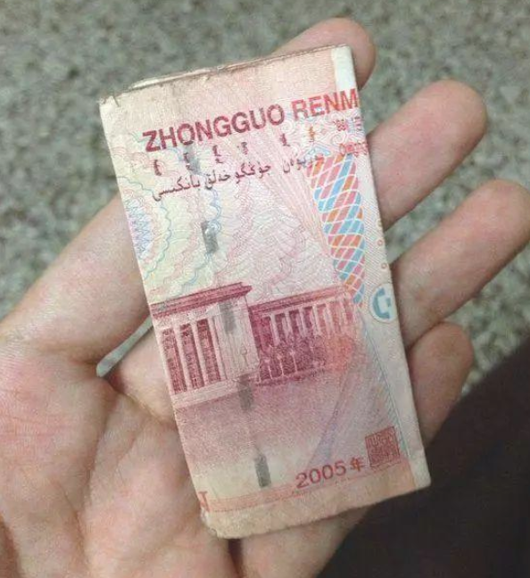 聪慧金毛被盗走第二天自身跑回家,还叼来窃贼的钱 聪慧金毛被盗走第二天自身跑回家,还叼来窃贼的钱