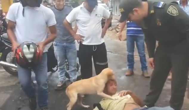 男子喝醉酒在马路边睡得正香,狗狗忠诚守在身边,萌凶一幕暖入人的内心 男子喝醉酒在马路边睡得正香,狗狗忠诚守在身边,萌凶一幕暖入人的内心